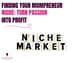 find your mompreneur niche market